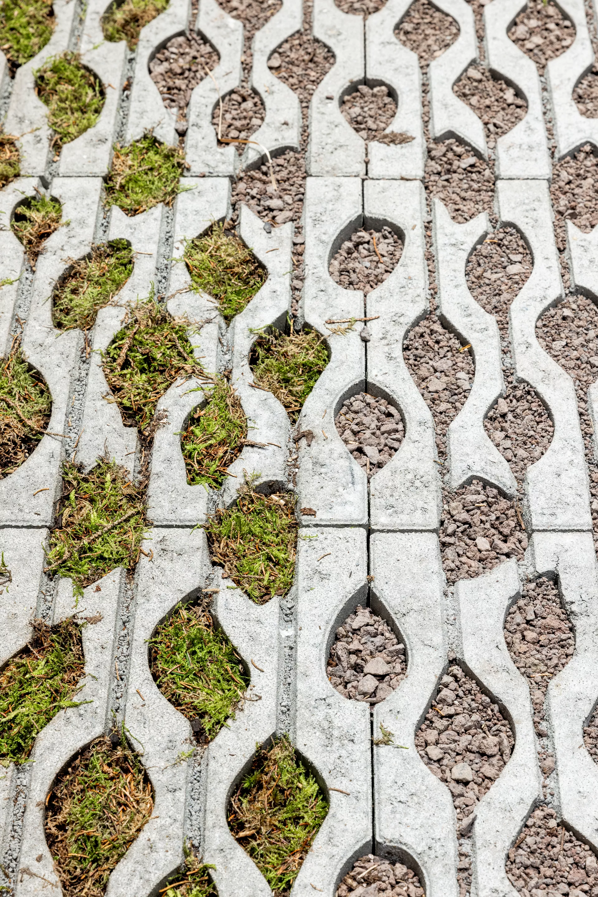 SENTONI Rasengitterstein mit Nocken grau glatt L 60 cm B 40 cm H 10 cm