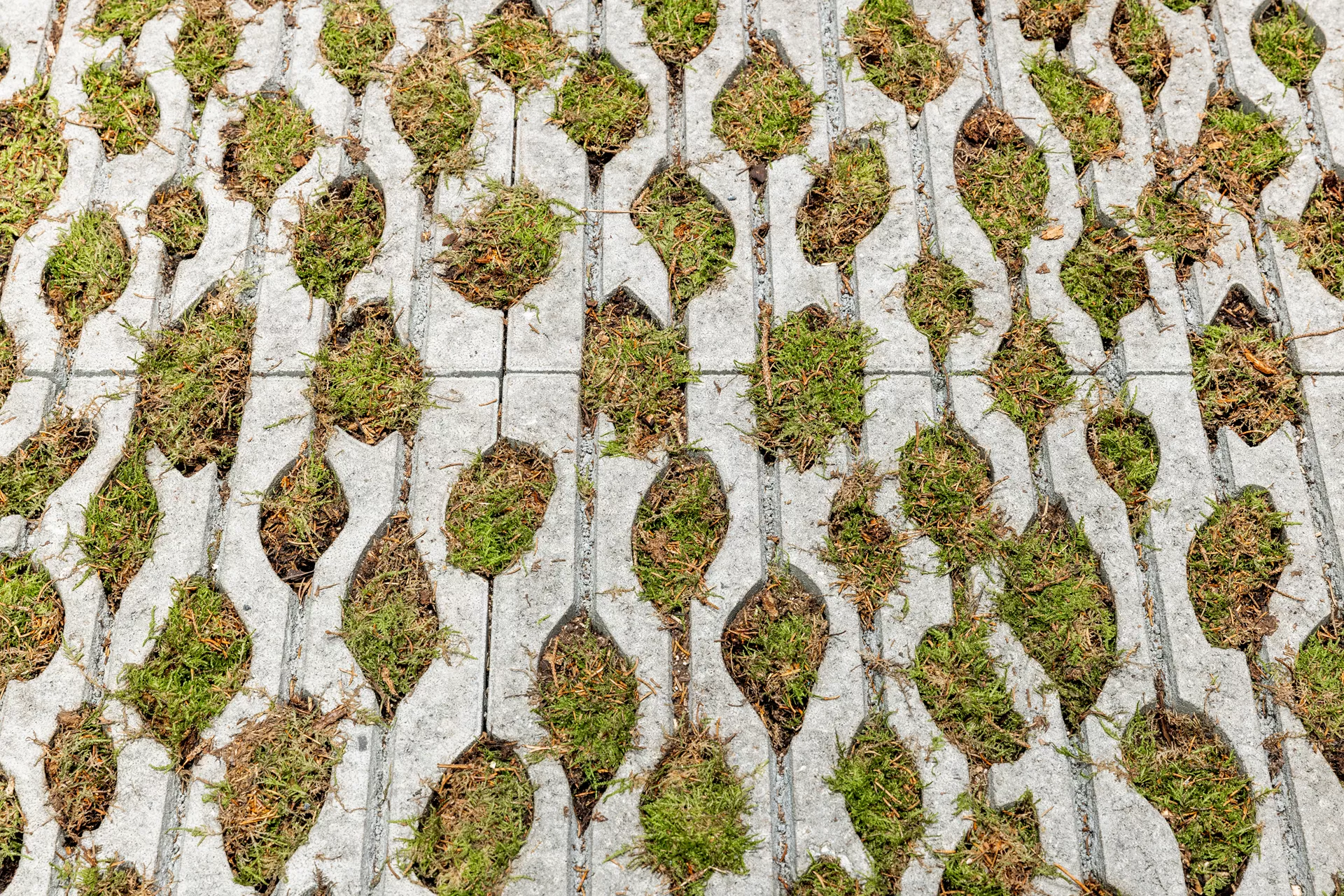 SENTONI Rasengitterstein mit Nocken grau glatt L 60 cm B 40 cm H 10 cm