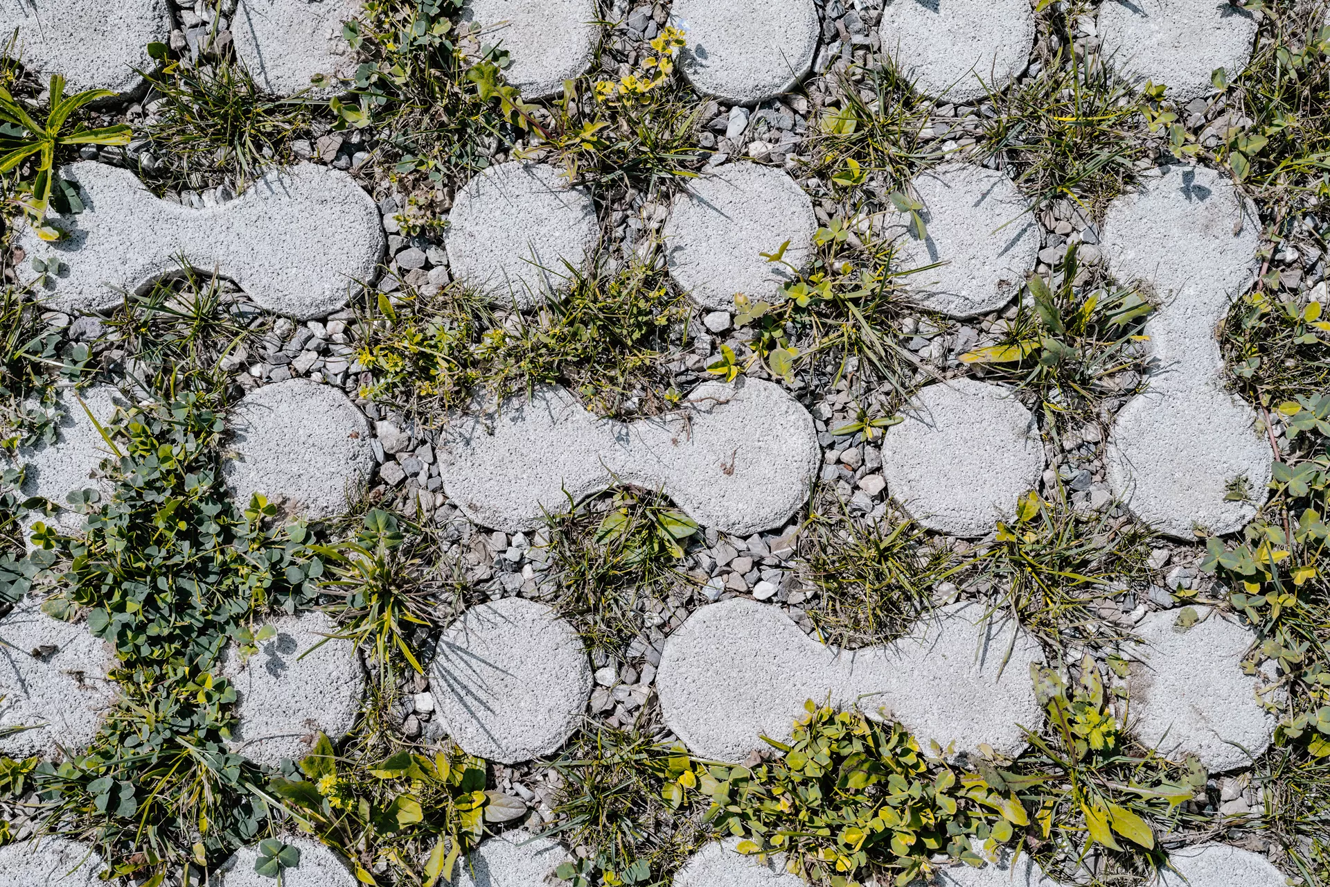 LUNIX Rasengitterstein grau glatt L 53.2 cm 39.9 cm H 12 cm