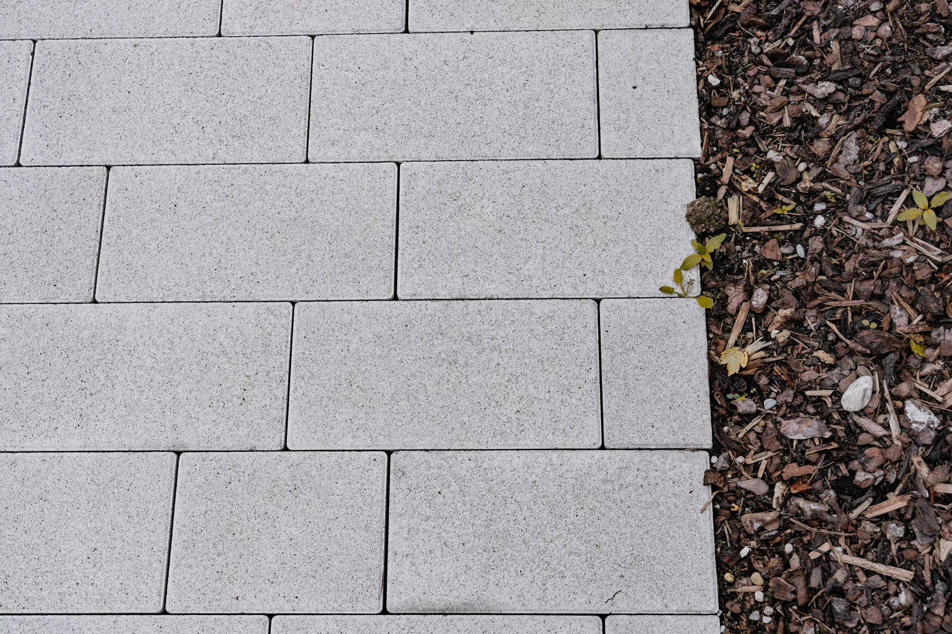 RAINA Pflasterstein grau glatt leicht gefast L 20-40 cm B 15 cm H 8 cm