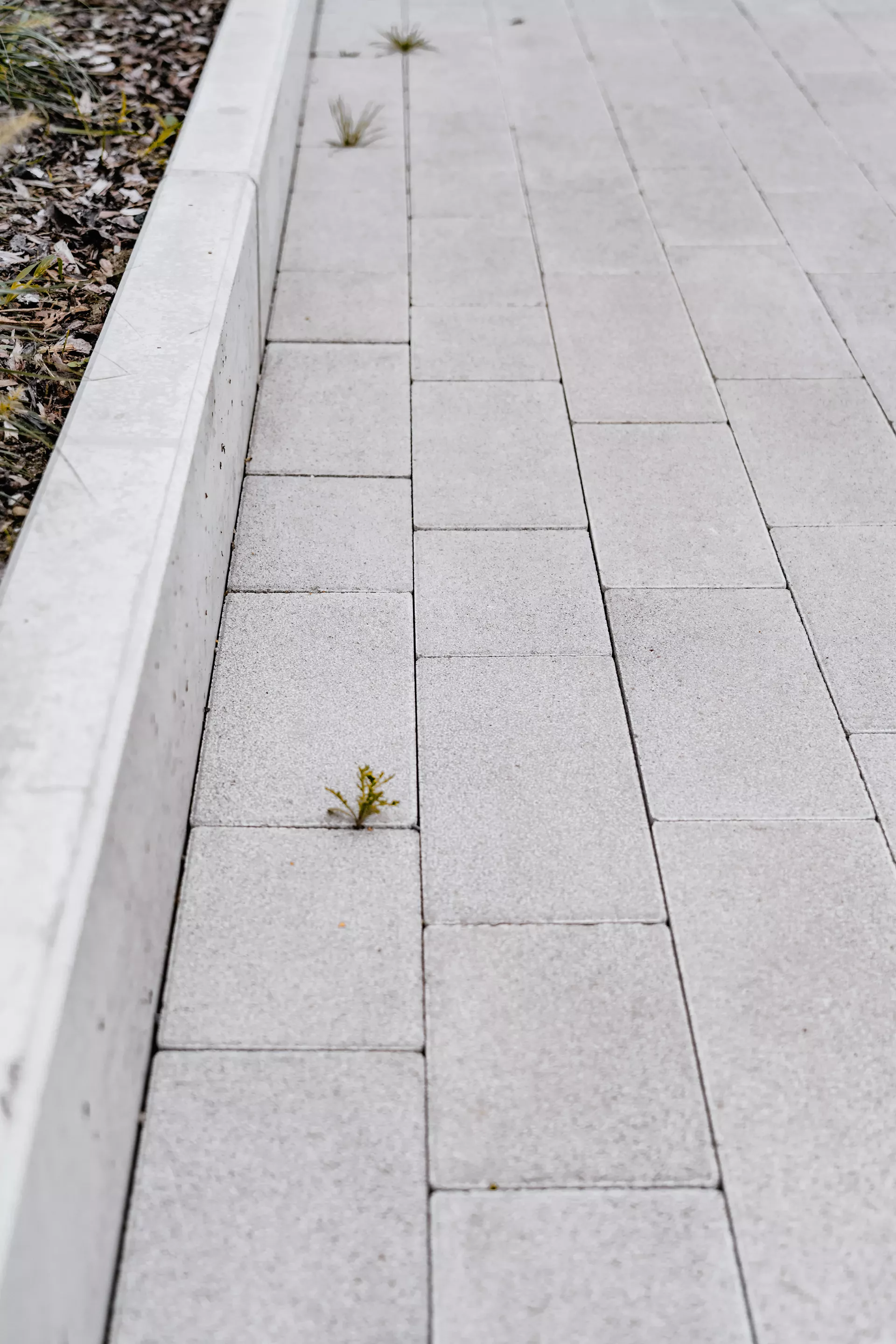 RAINA Pflasterstein grau glatt leicht gefast L 20-40 cm B 15 cm H 8 cm