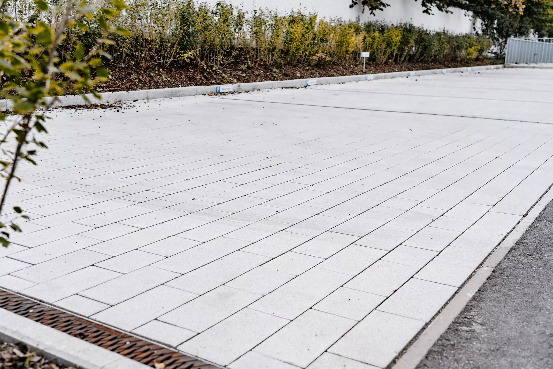 RAINA Pflasterstein grau glatt leicht gefast L 20-40 cm B 15 cm H 8 cm