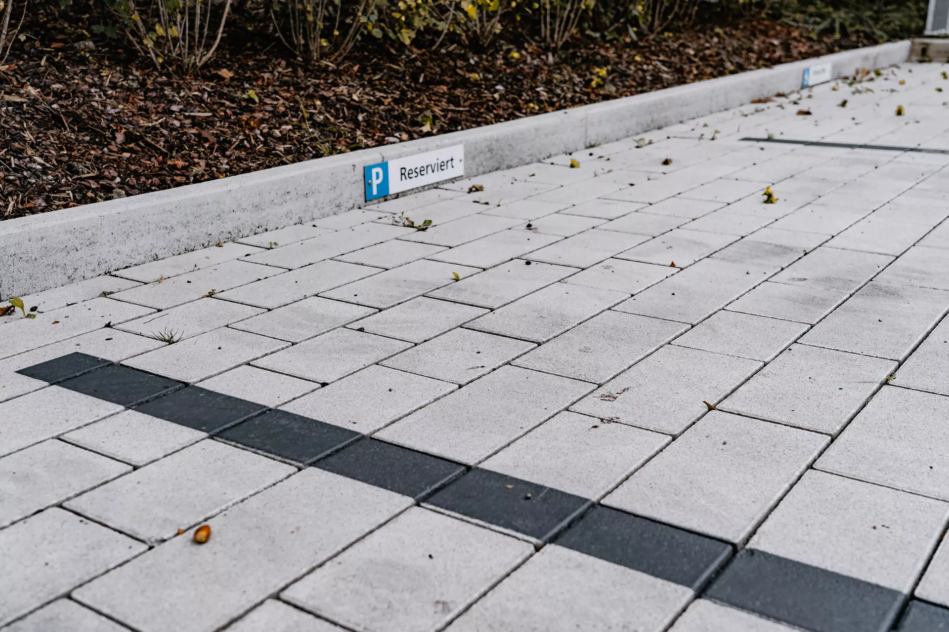 RAINA Pflasterstein grau glatt leicht gefast L 20-40 cm B 15 cm H 8 cm