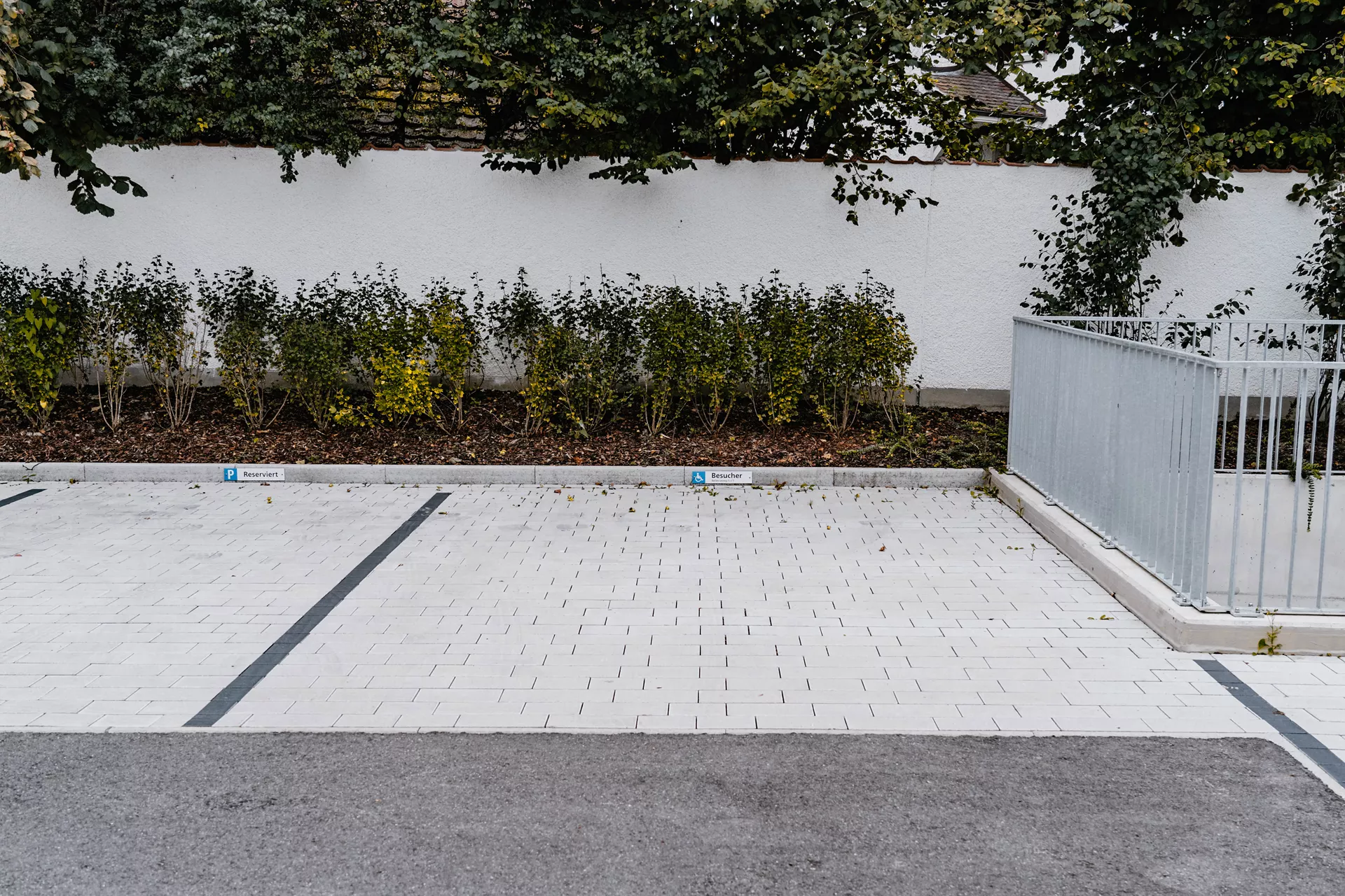 RAINA Pflasterstein grau glatt leicht gefast L 20-40 cm B 15 cm H 8 cm