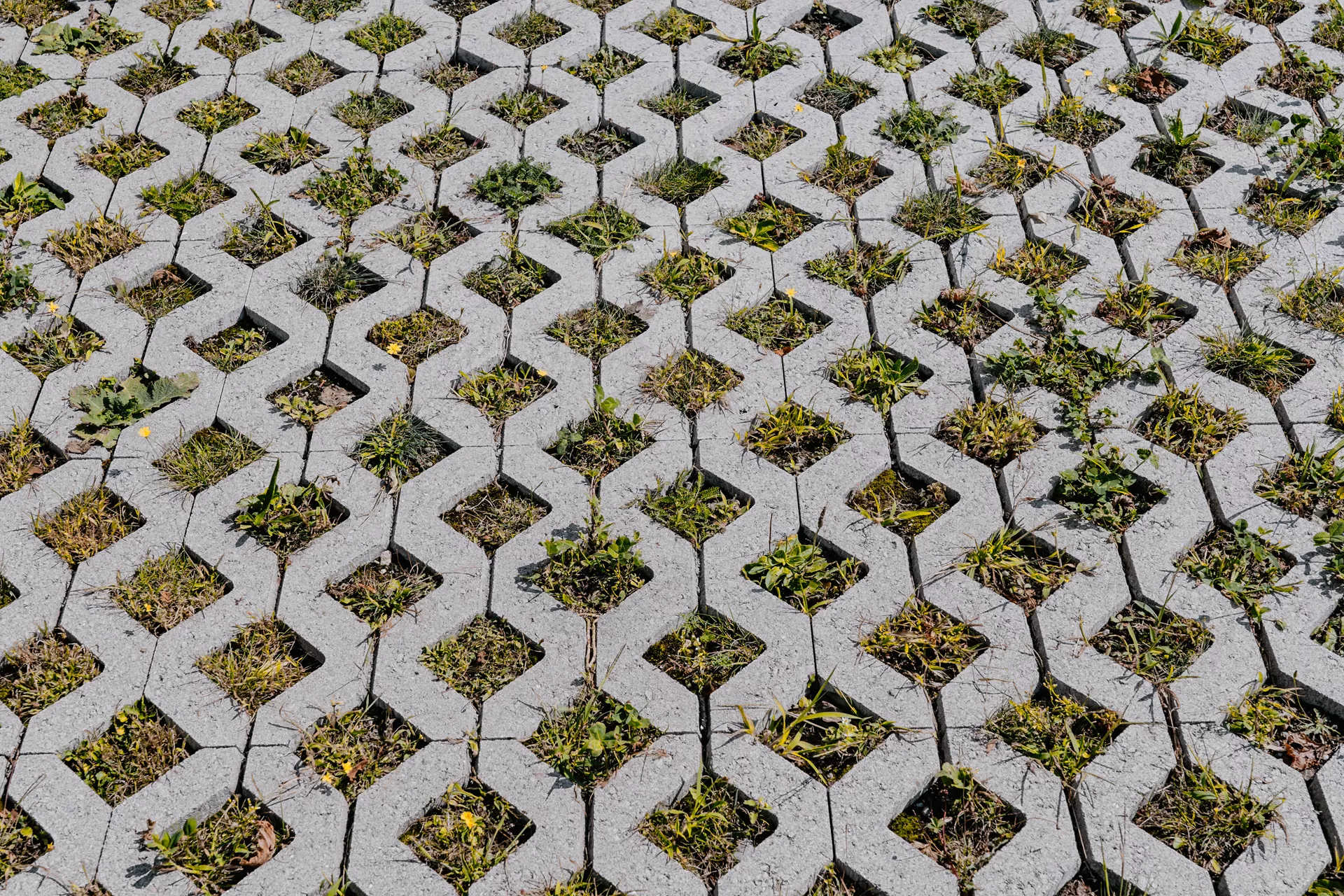 GRISON Rasengitterstein mit Nocken grau glatt L 60.2 cm B 40.2 cm H 8 cm