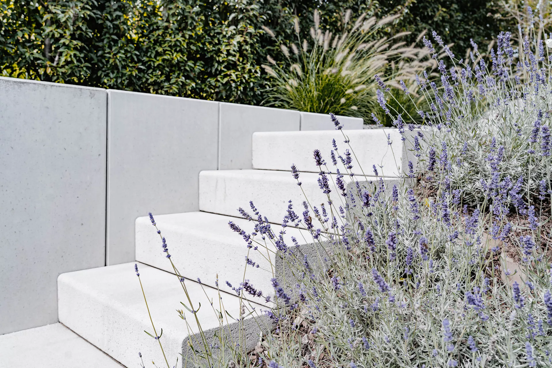 PARADISO Blockstufe argento gestrahlt gefast L 100 cm B 40 cm H 17 cm