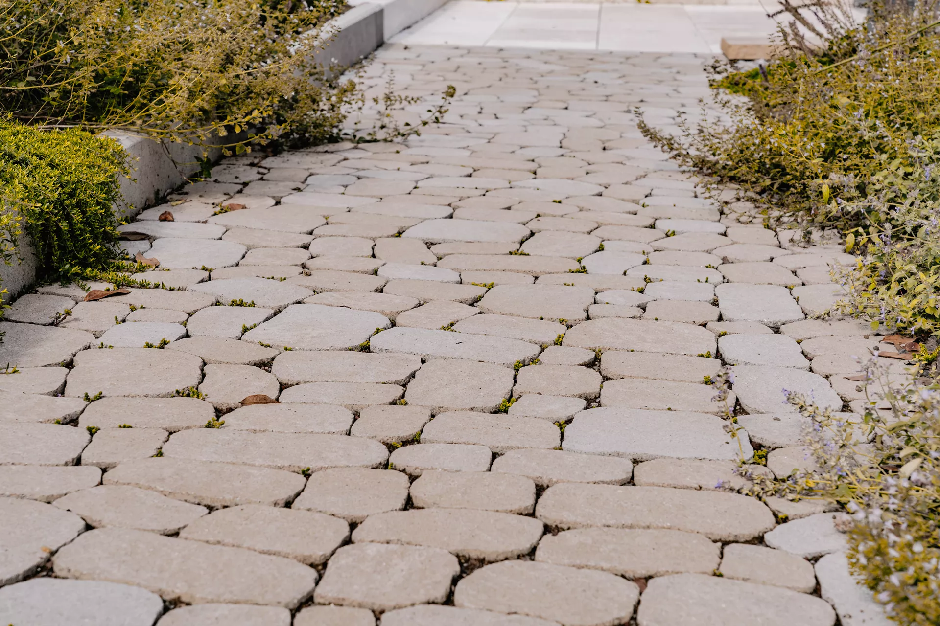 ARENA VISTA Pflasterstein jurakalk strukturiert Kanten gebr. L 6.5 - 21.9 cm B 8.6 - 12.2 cm H 7 cm