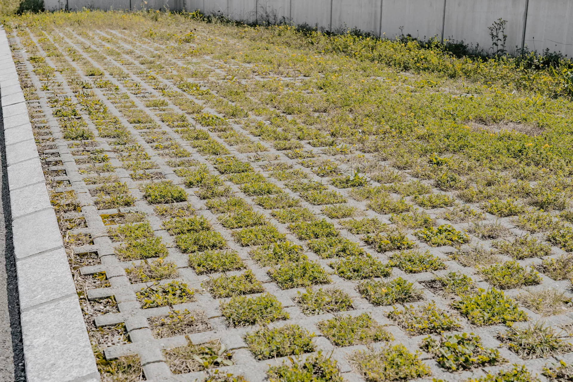 QUADRO Rasengitterstein grau L 58 cm B 47 cm H 10 cm