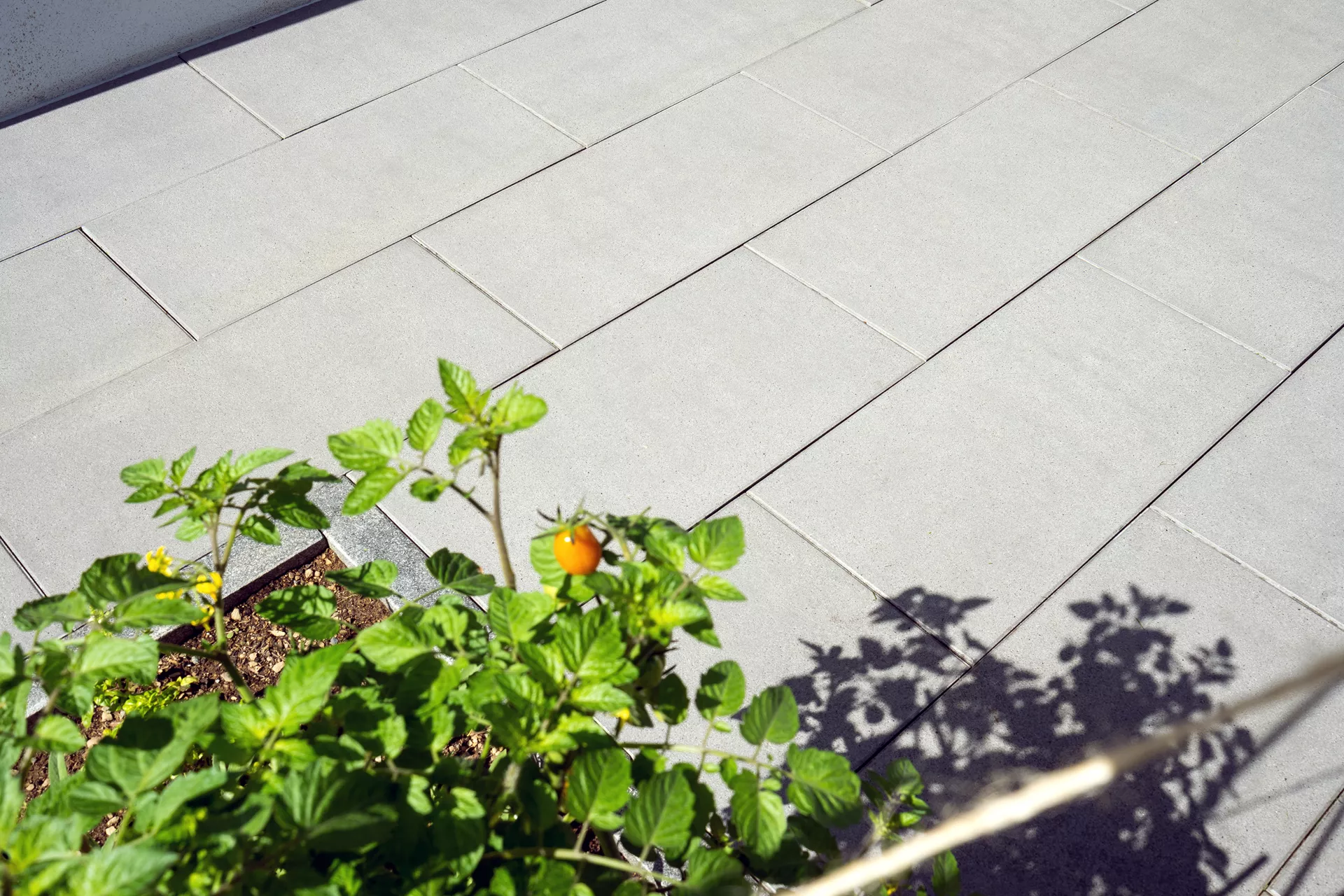 ALENA PLUS Gartenplatte graphitgrau gestrahlt gefast versiegelt L 80 cm B 40 cm H 4 cm