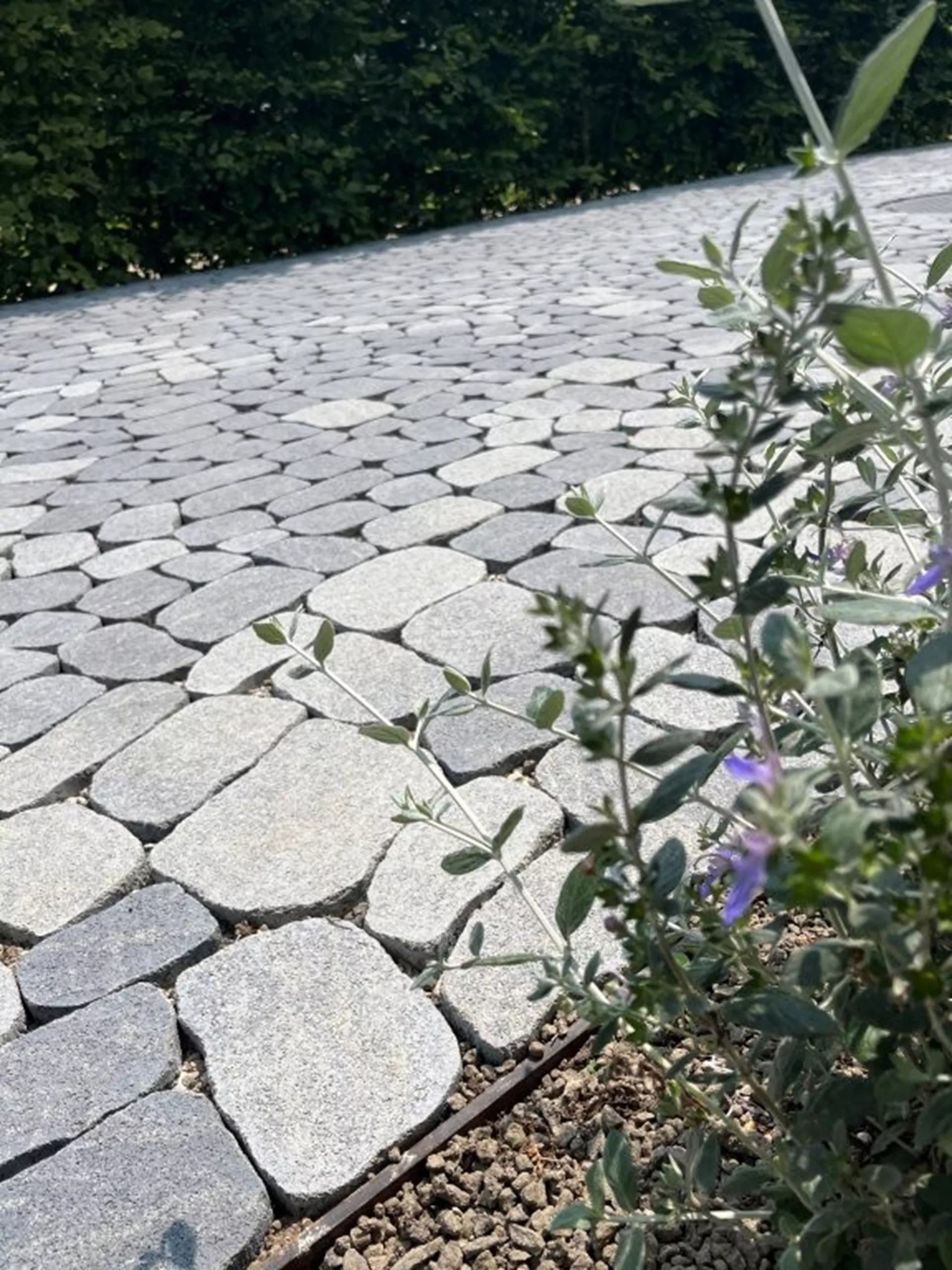 ARENA VISTA Pflasterstein perlgrau strukturiert Kanten gebr. L 6.5 - 23.8 cm B 8.3 - 16.4 cm H 7 cm