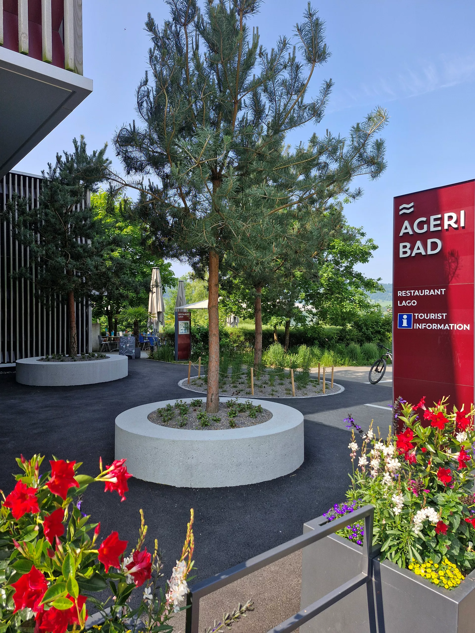 ARBOSO Sitzbankelement rund grau gestrahlt vollkantig ohne Boden D 224 cm H 60 cm