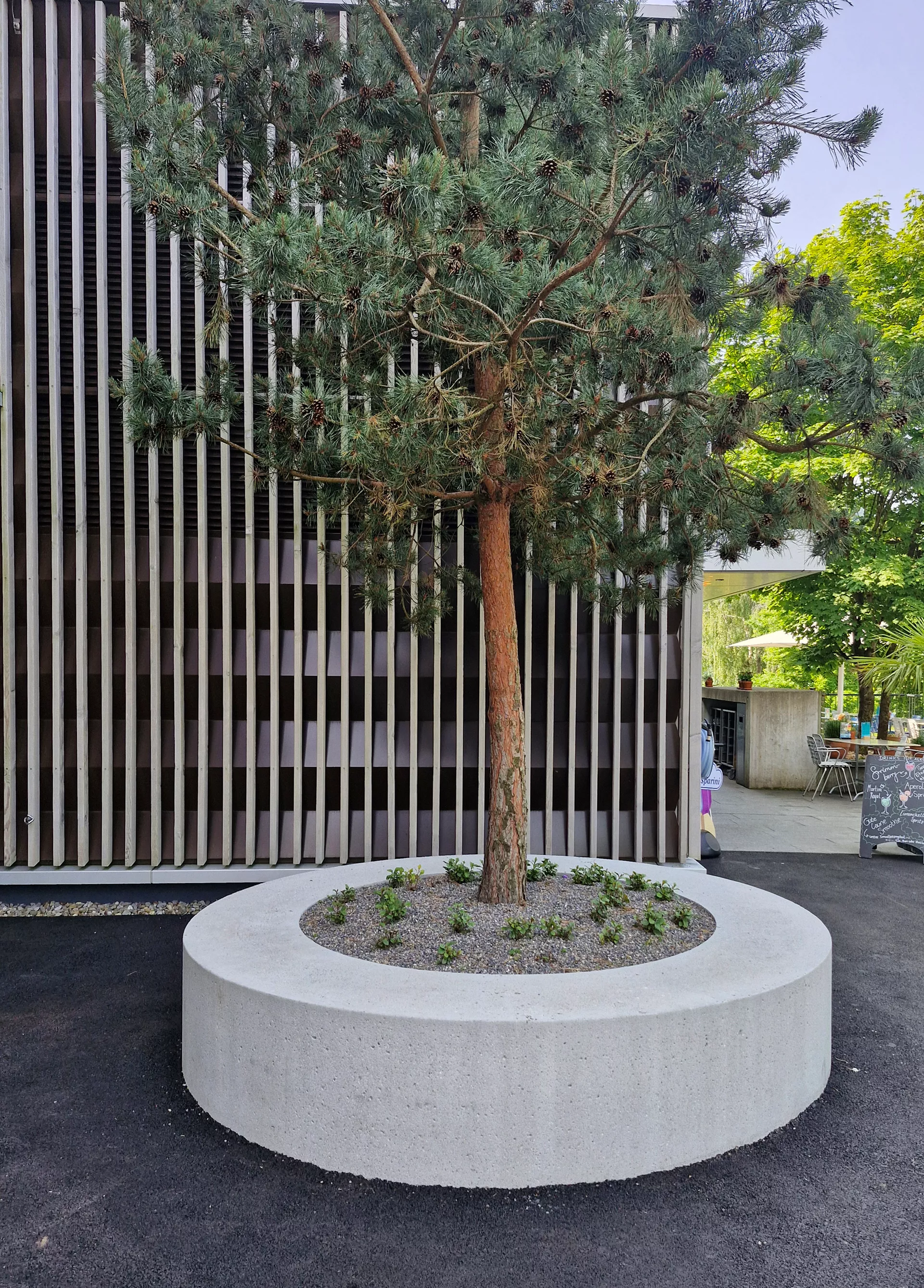 ARBOSO Sitzbankelement rund grau gestrahlt vollkantig ohne Boden D 224 cm H 60 cm