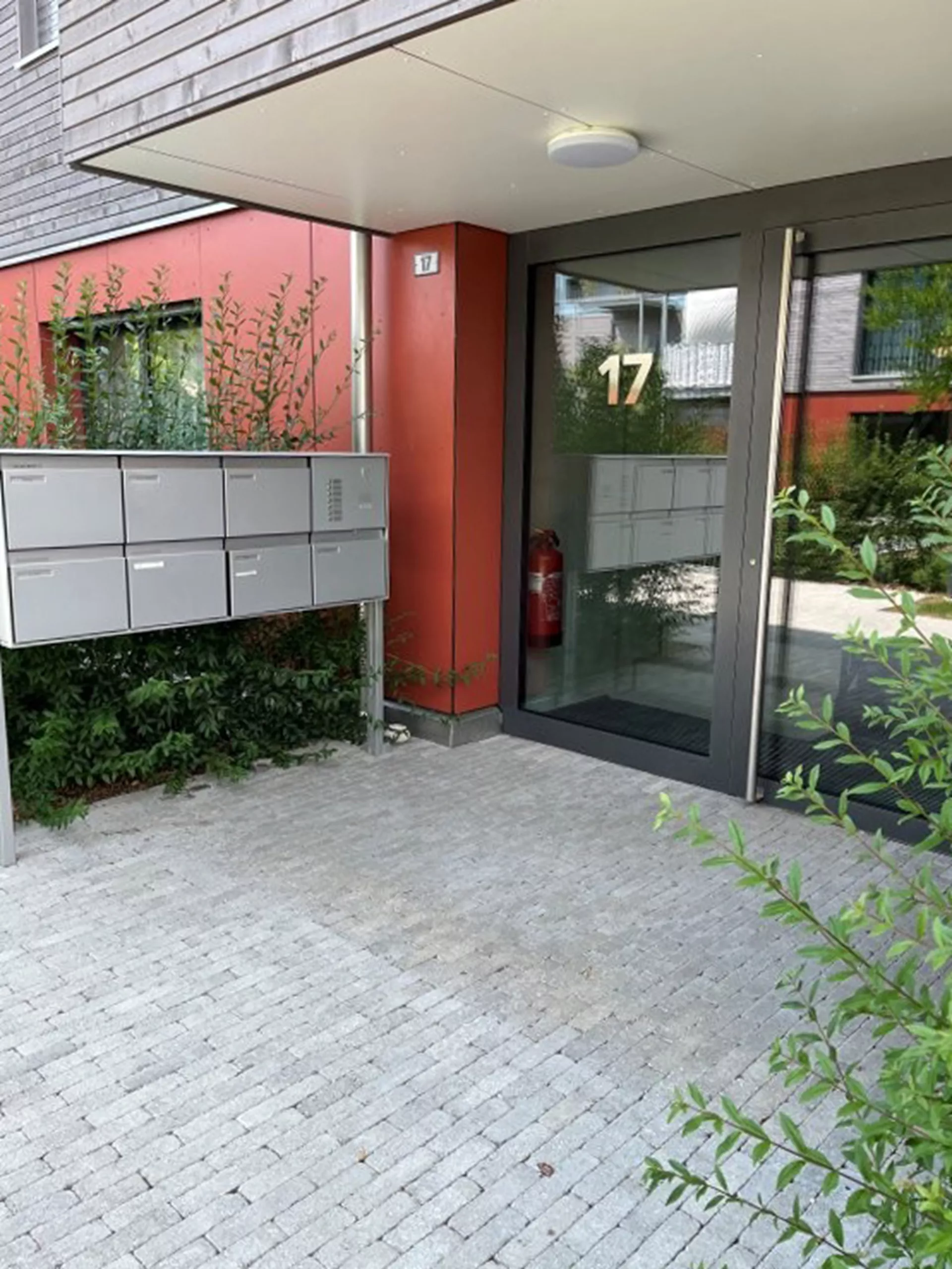 RIEMO Pflasterstein grau Kanten gebrochen L 22 cm B 6 cm H 8 cm