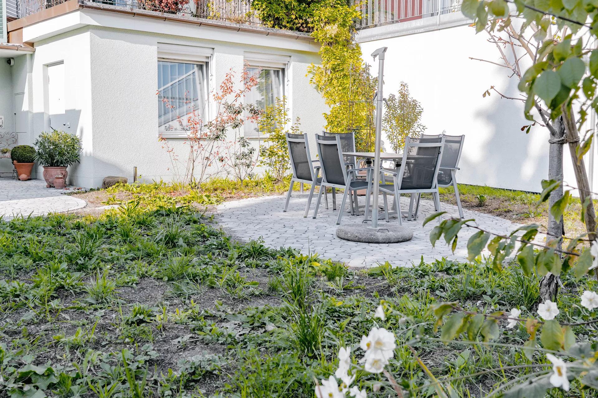 ARENA VISTA Pflasterstein perlgrau strukturiert Kanten gebr. L 6.5 - 23.8 cm B 8.3 - 16.4 cm H 7 cm