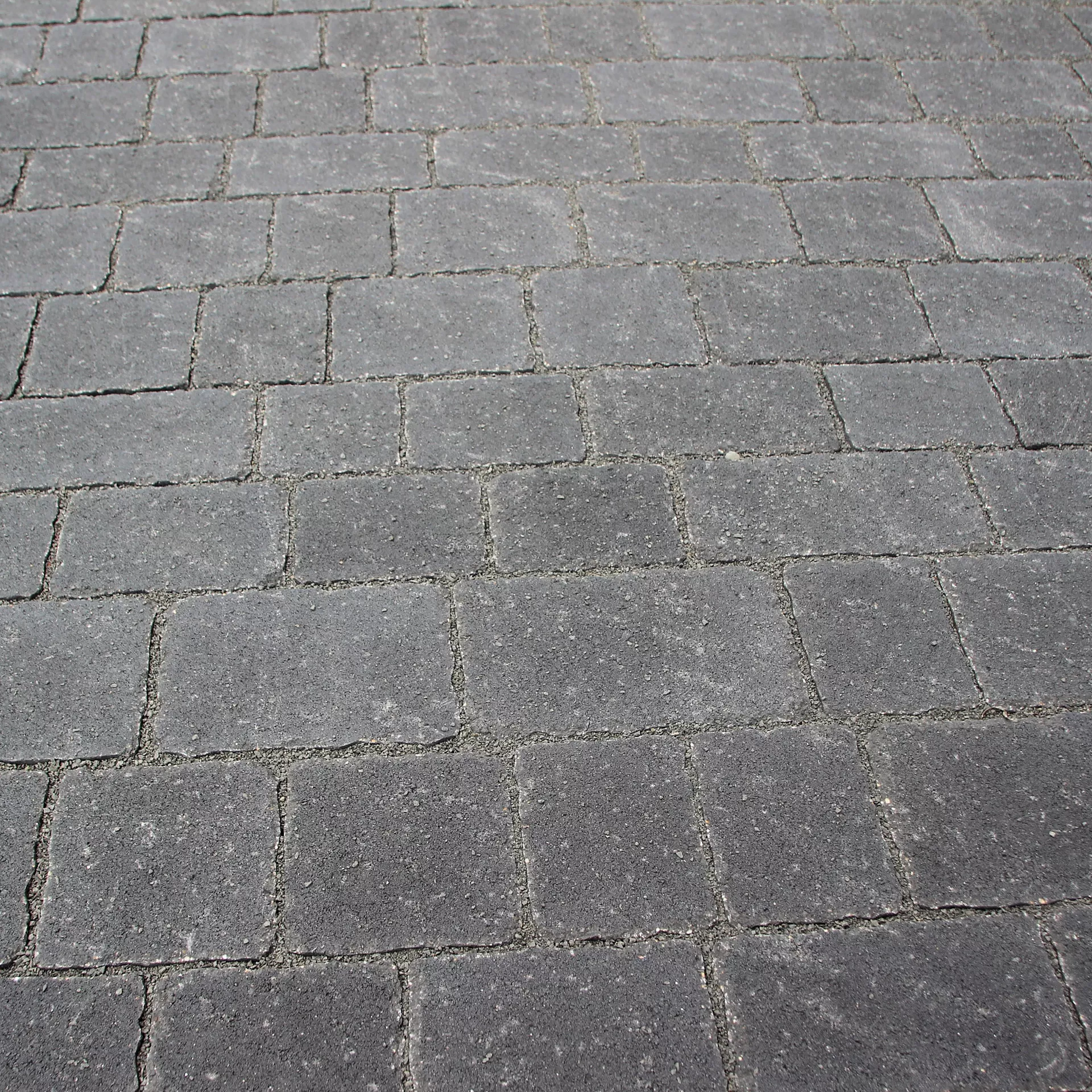 FRIEDA<sup>®</sup> Wildpflaster