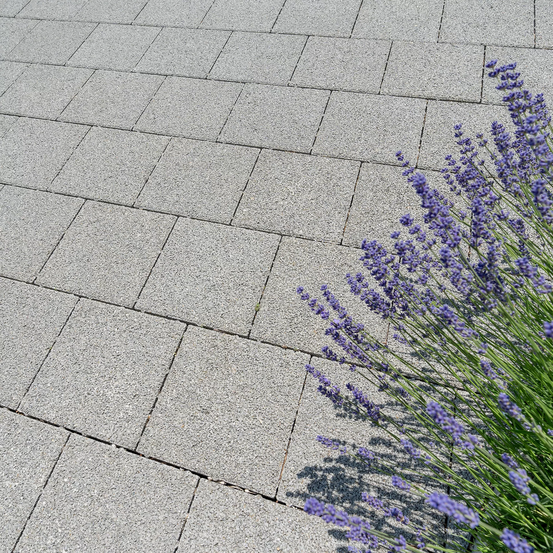 CARENA<sup>®</sup> Sickersteine fino gefast