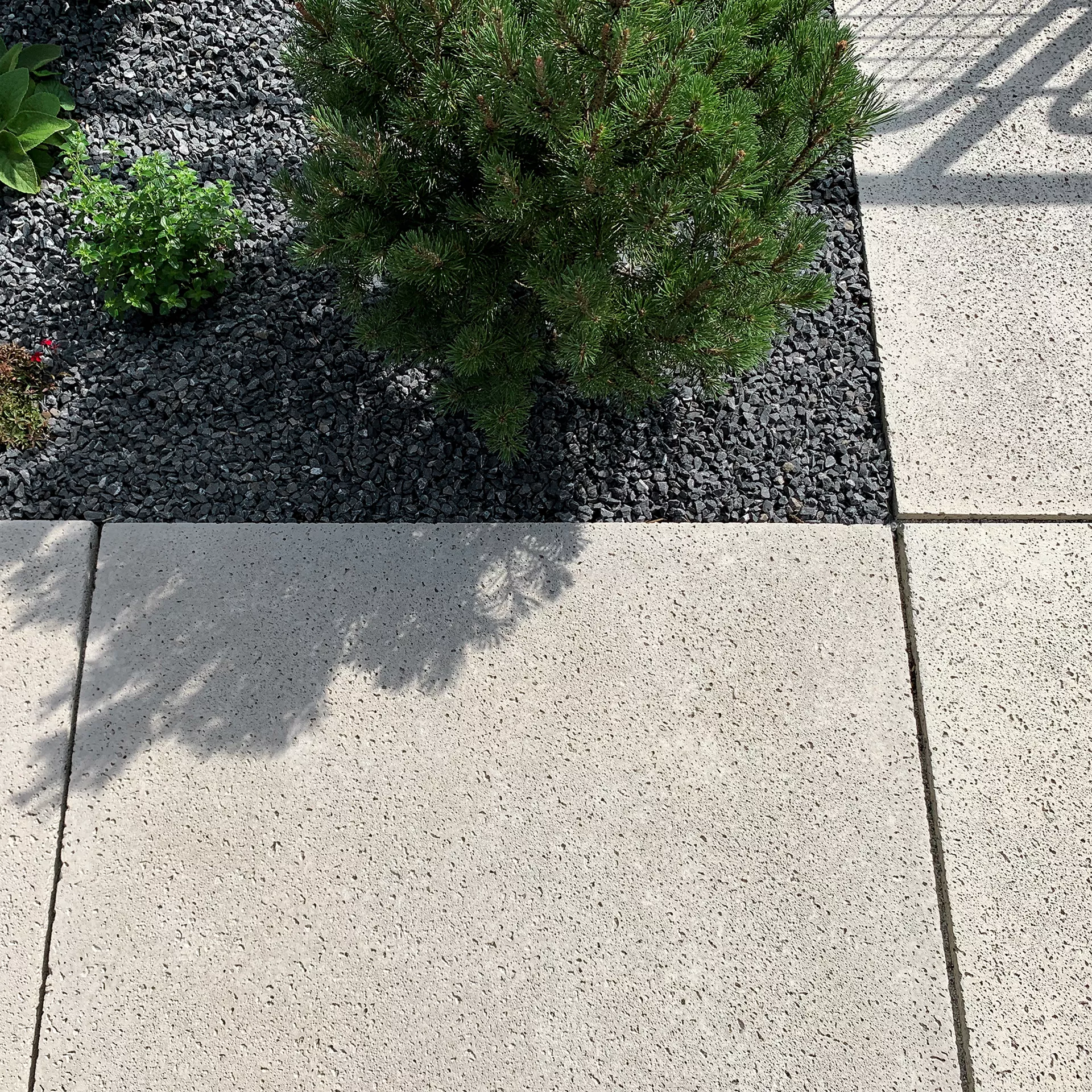 TRAVINA Gartenplatten mit feiner Travertinstruktur