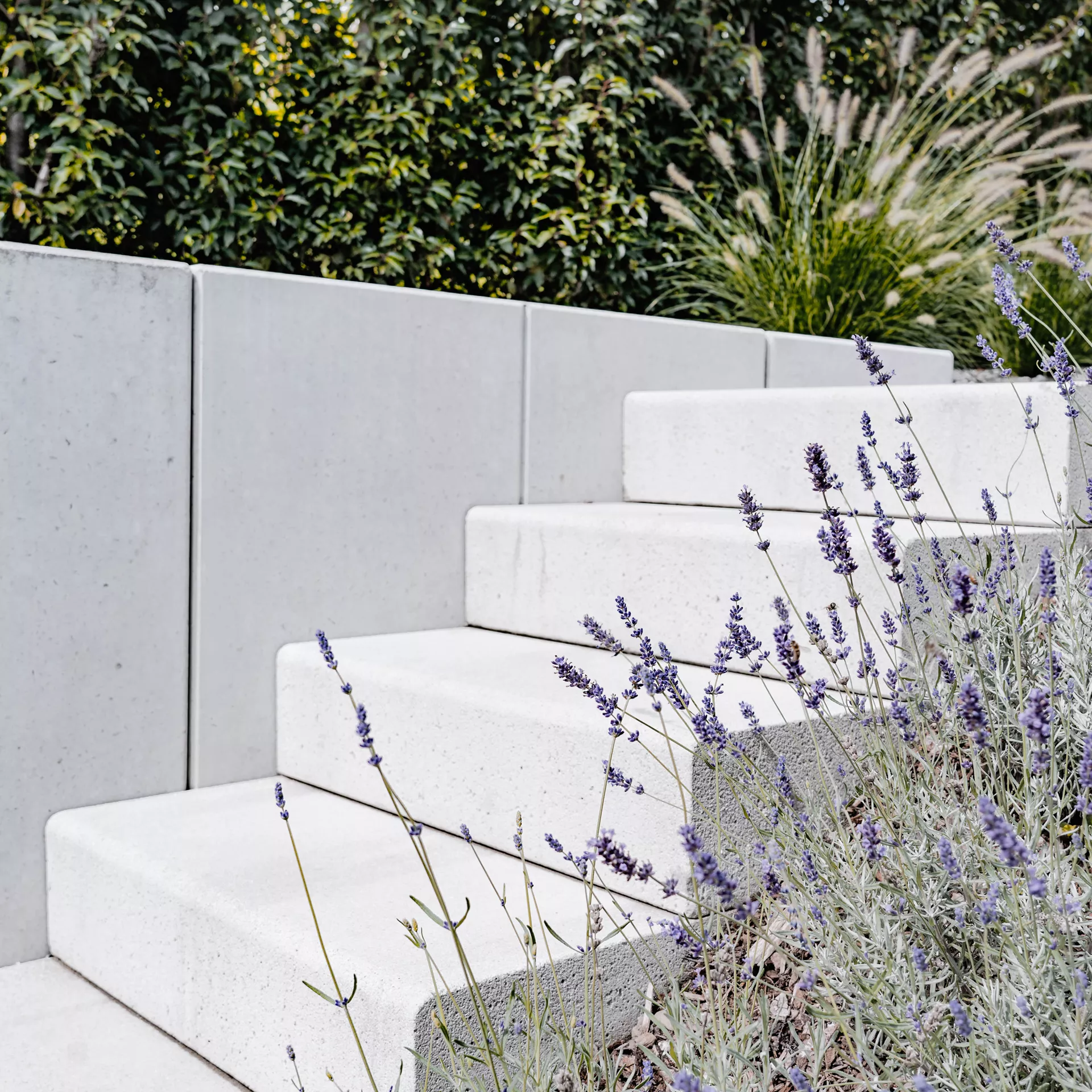 PARADISO Blockstufen