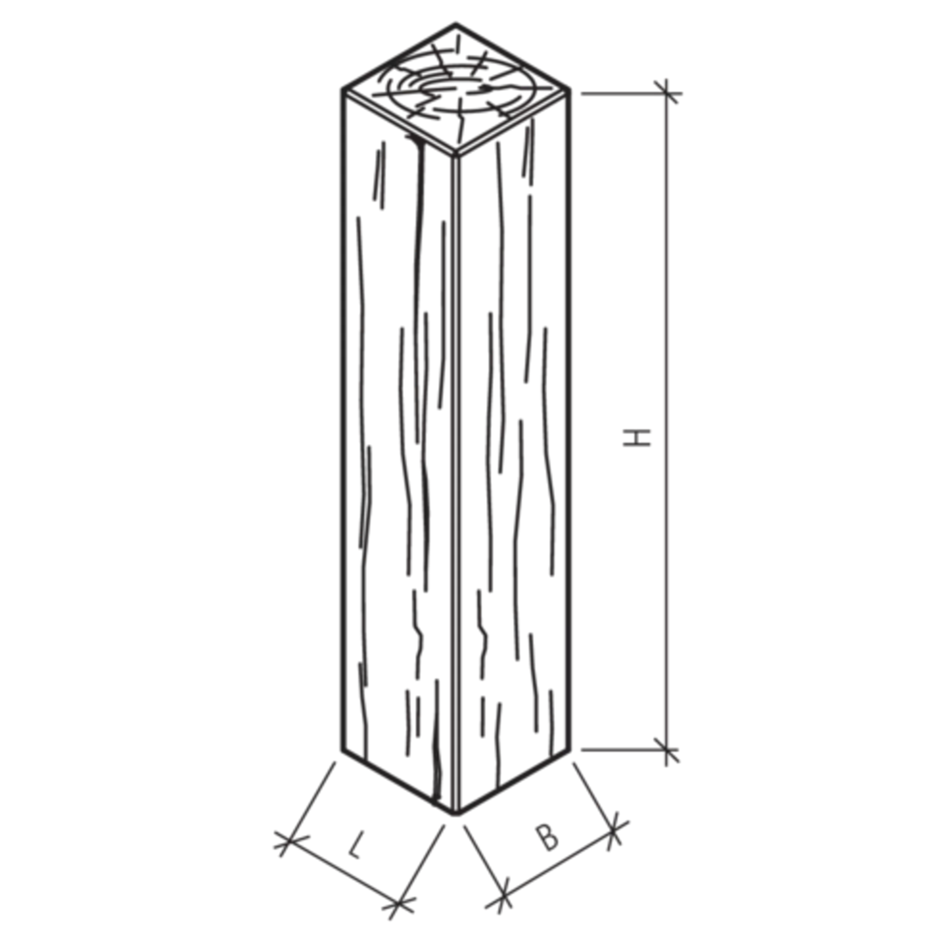LENIA Palisaden mit Holzstruktur