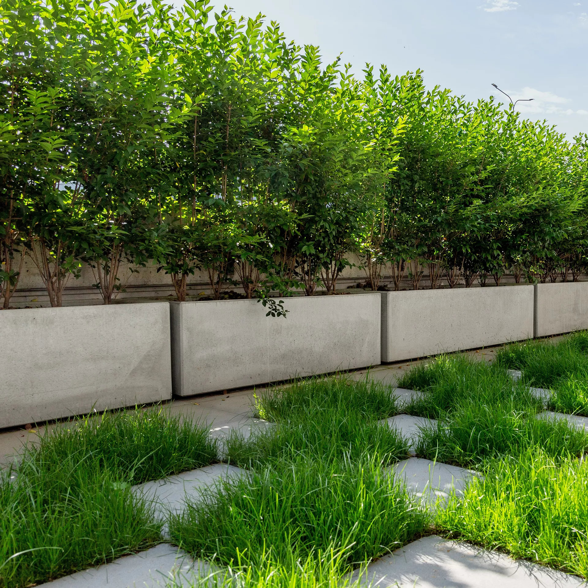 PARCO<sup>®</sup> Pflanzentröge glatt