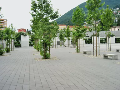 CARENA Pflasterstein mit Nockenverbund grau glatt gefast L 25 cm B 25 cm H 8 cm