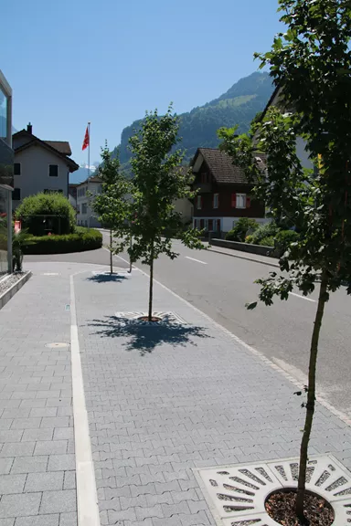 COMO Baumscheibe grau glatt gefast bewehrt geschlitzt mit Aussparung R 28 cm L 62.5 cm B 62.5 cm H 8 cm BK A 15