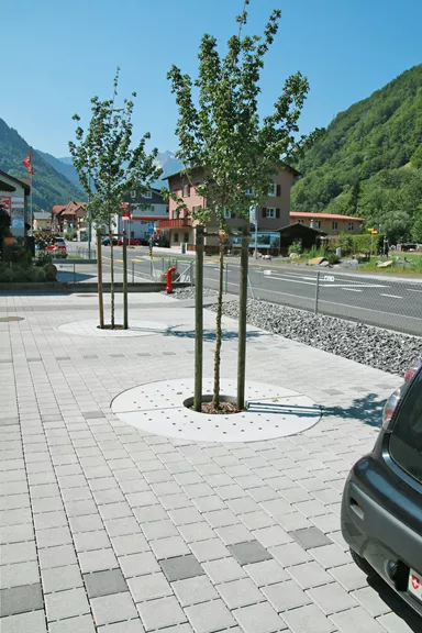 TREETUB Betondeckel 2-teilig mit Stammöffnung zentrisch D 220 cm H 12 cm