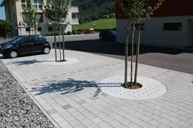 TREETUB Betondeckel 2-teilig mit Stammöffnung zentrisch D 220 cm H 12 cm