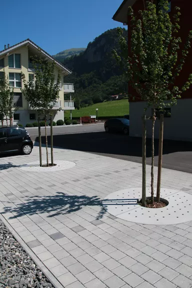 TREETUB Betondeckel 2-teilig mit Stammöffnung zentrisch D 220 cm H 12 cm