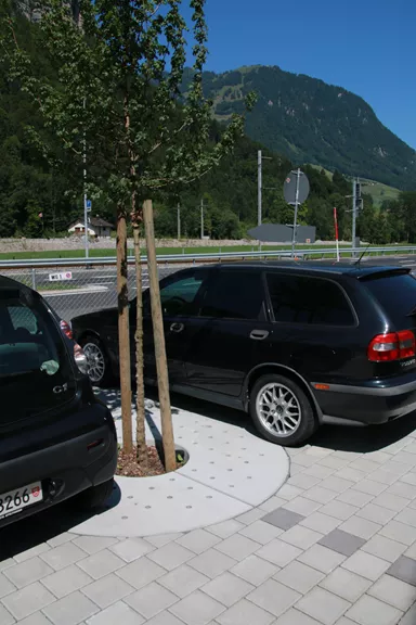 TREETUB Betondeckel 2-teilig mit Stammöffnung zentrisch D 220 cm H 12 cm