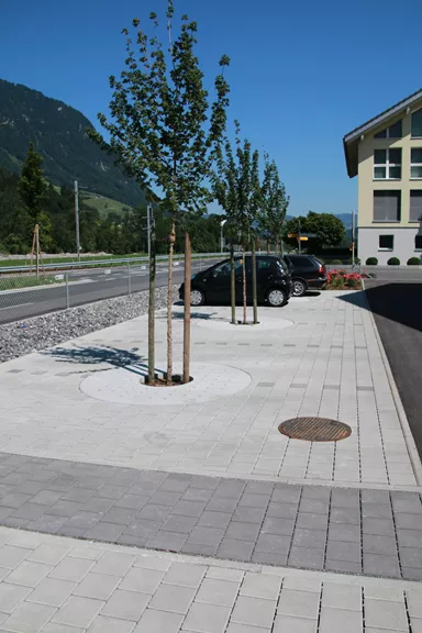 TREETUB Betondeckel 2-teilig mit Stammöffnung zentrisch D 220 cm H 12 cm