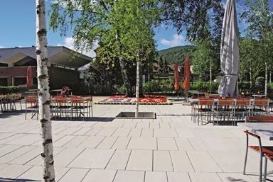 FINALGO Vakuum Gehwegplatte grau gestrahlt vollkantig L 60 cm B 30 cm H 4 cm