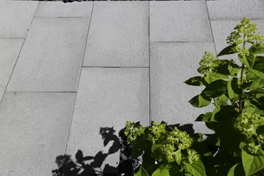 STRUKTURA Gehwegplatte mit Travertinstruktur anthrazit strukturiert gestrahlt gefast L 60 cm B 40 cm H 4 cm