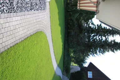 FRIEDA Pflasterstein perlgrau strukturiert Kanten gebr. L 8.8-11.8 cm B 9.8 cm H 7 cm