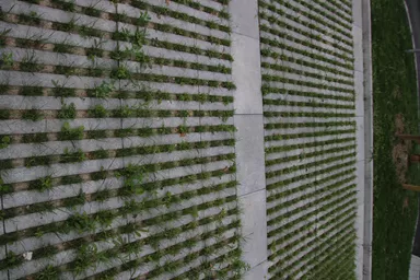 RAINA Rasenliner mit Verschiebesicherung grau glatt L 60 cm B 40 cm H 10 cm