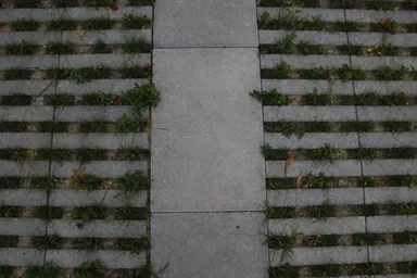 Schrittplatte zu Rasengittersteinen grau glatt gefast L 60 cm B 40 cm H 10 cm