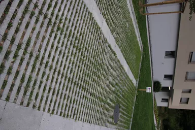 RAINA Rasenliner mit Verschiebesicherung grau glatt L 60 cm B 40 cm H 10 cm