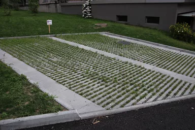 Schrittplatte zu Rasengittersteinen grau glatt gefast L 60 cm B 40 cm H 10 cm