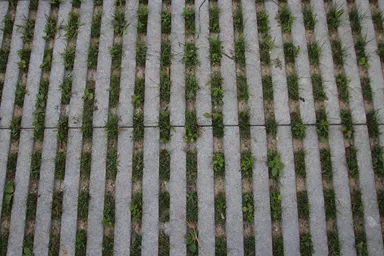 RAINA Rasenliner mit Verschiebesicherung grau glatt L 60 cm B 40 cm H 10 cm