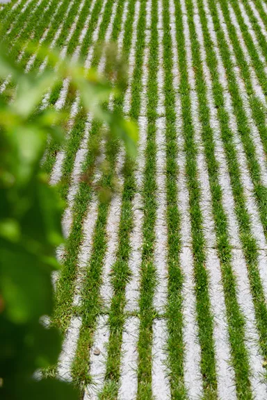 RAINA Rasenliner mit Verschiebesicherung grau glatt L 60 cm B 40 cm H 10 cm