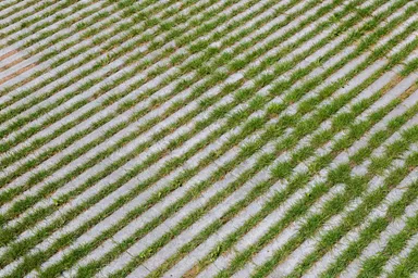 RAINA Rasenliner mit Verschiebesicherung grau glatt L 60 cm B 40 cm H 10 cm