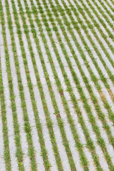 RAINA Rasenliner mit Verschiebesicherung grau glatt L 60 cm B 40 cm H 10 cm