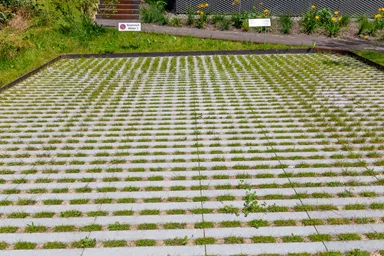 RAINA Rasenliner mit Verschiebesicherung grau glatt L 60 cm B 40 cm H 10 cm