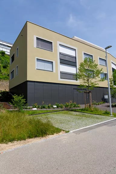 RAINA Rasenliner mit Verschiebesicherung grau glatt L 60 cm B 40 cm H 10 cm