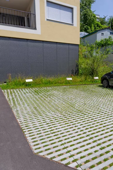 RAINA Rasenliner mit Verschiebesicherung grau glatt L 60 cm B 40 cm H 10 cm