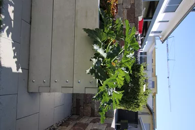 Hochbeet mit Holzstruktur Typ 2 naturgrau strukturiert leicht gefast bewehrt L 234 cm B 120 cm H 75 cm W 6 cm