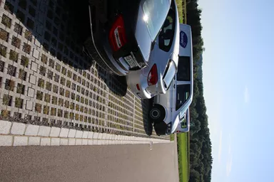 QUADRO Rasengitterstein grau L 58 cm B 47 cm H 10 cm