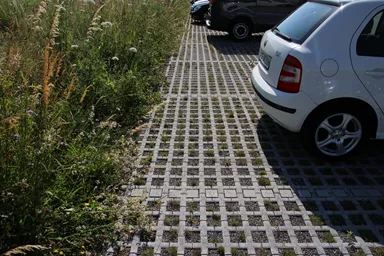 QUADRO Rasengitterstein grau L 58 cm B 47 cm H 10 cm