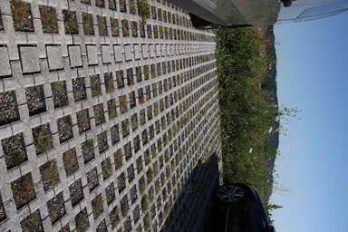 QUADRO Rasengitterstein grau L 58 cm B 47 cm H 10 cm