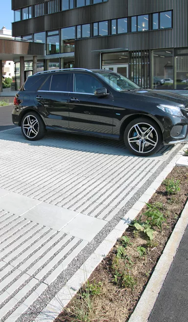 RAINA Rasenliner mit Verschiebesicherung grau glatt L 60 cm B 40 cm H 10 cm